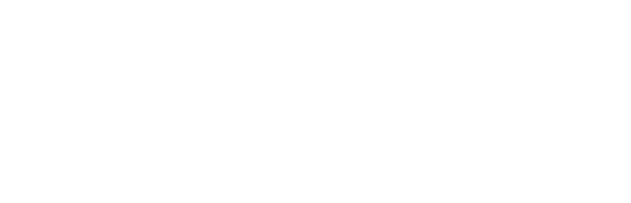 logo blanc curiosités
